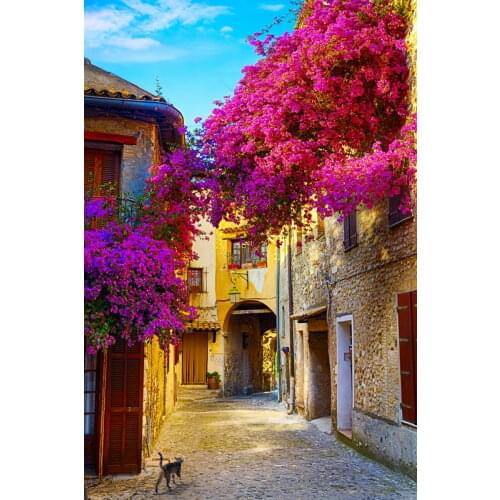 Photography Backdrop for Party 5x7 Digital Vinyl Background Studio Newborn Wedding Photo Booth Fotografia