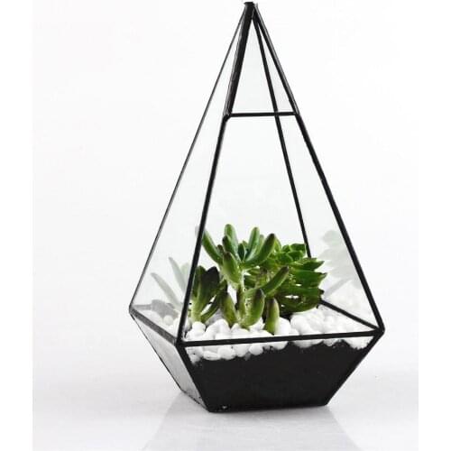 Pyramid Glass Geometric Terrarium Box Tabletop Succulent Planter Gift Black