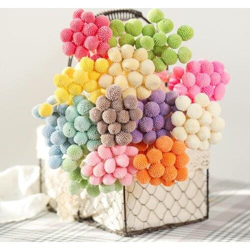 Decorative Preserved Flowers Ball 2CM Head family Dining Table Wedding Accessories Decoration Photography Props Fleurs Sechees
