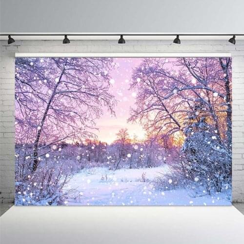 Photography Backdrops Christmas Winter Snow Baby Newborn Photographic Decor Photocall Backdrop Photo Studio Banner