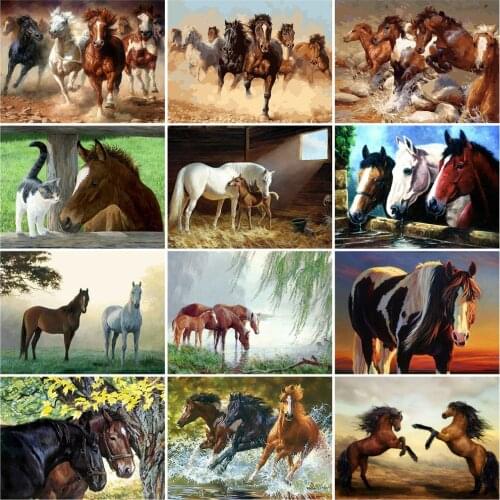 HUACAN Picture By Numbers Horse Gift Home Decor Paint By Number Animals DIY Hand Painted Wall Art Drawing Acrylic