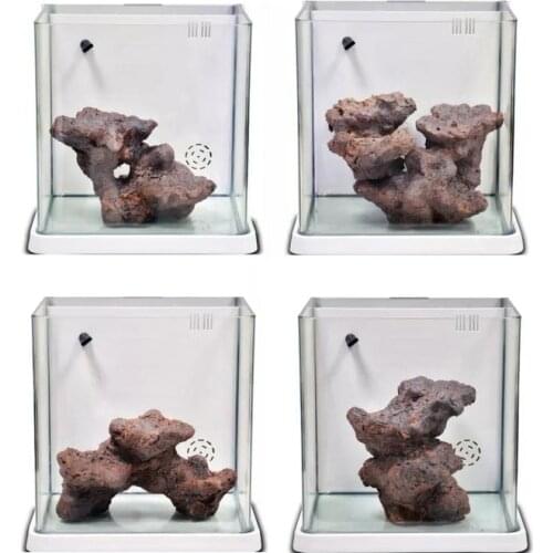 DW Aquarium Bio Active Rock Build Marine Systems Quickly Landscaping Rapid Cultivation Nitrifying Bacto Suitable For 35cm Tank