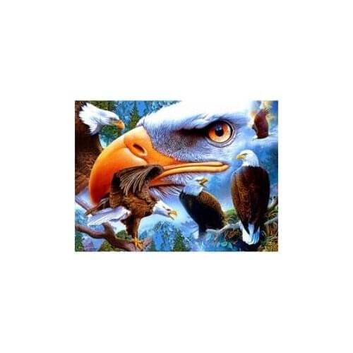 Bird eagle diamond oil painting animals landscape rhinestone embroidery picture mosaic sticker dimond tapestry poster wall paper