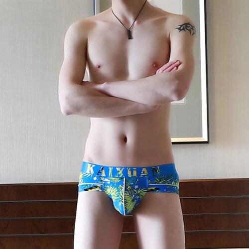 New Underwear Men Low Rise Briefs Pouch cueca hombre Comfortable Mens Modal Bulge ropa interior Underpants Male Casual Panties