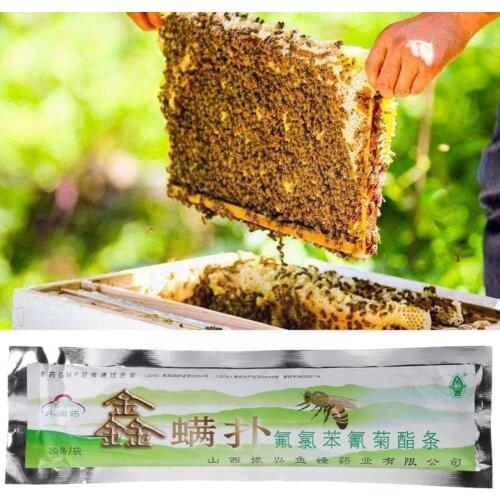 20 Strips Fluvalinate Strip Bee Mite Killer Treatment Control Tool Mites Strips Beekeeping Killer Varroa Fluvalinate Apiary B0F0
