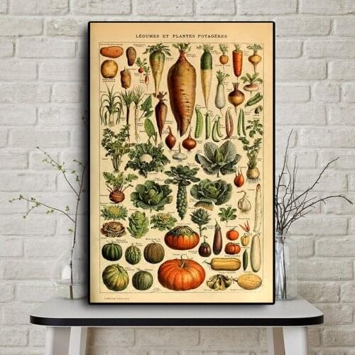 Botanical Pictures Abstract Posters and Prints Vintage Vegetable Fruit Mushroom Canvas Painting for Living Room Decor No Frame