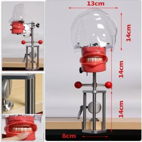 Head Model Dental simulator Nissin manikin phantom head model with new style bench mount for dentist teaching model