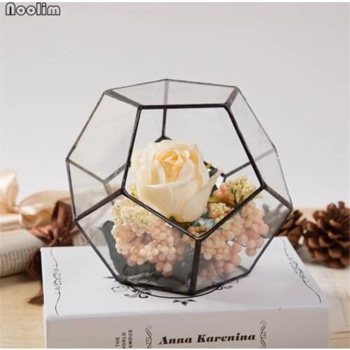 NOOLIM Tabletop Display Succulent Fern Moss Flower Pot Air Plant Planter Box Garden Polyhedron Glass Geometric Terrarium Bonsai