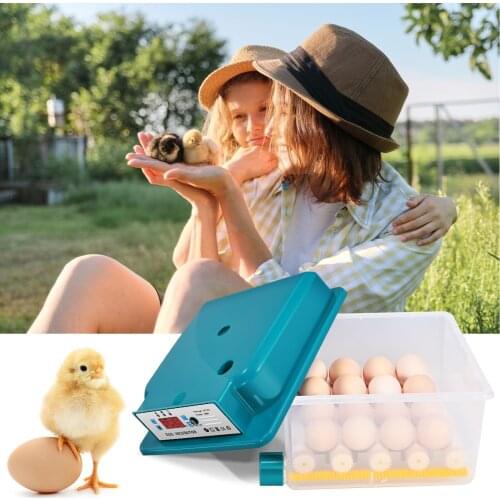 Intelligent Hatchery Eggs Mini Automatic Egg Incubator Poultry Spare Parts For Hatching For Chickens Quail Farm Animals Chicken