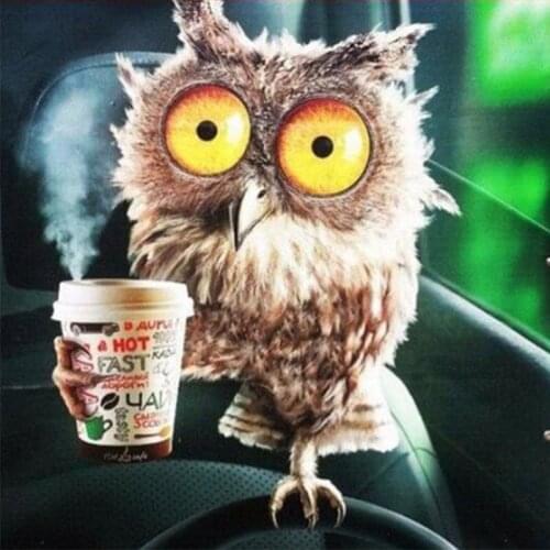 Square/Round Diy Diamond Embroidery Owl Drink coffee Diamond Painting Cross Stitch 5D Diamond Mosaic Needlework Home Decor