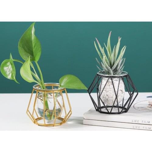 Nordic Iron Flower Rack Hydroponic Container Glass Vase Ornaments Home Table Decoration Plant Flower Arrangement Container Vases