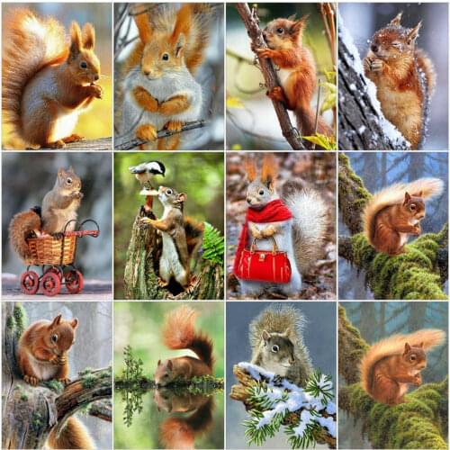 AZQSD Diamond Painting Squirrel Winter 5D DIY Diamond Embroidery Animal Home Decor Cross Stitch Kits Handmade