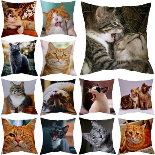 Cute Little Lazy Cat Living Room Sofa Decorative Cushion Cover Square Plush Throw Pillow Case 45x45 Elegant Stylish Home Design