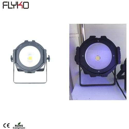Hot Sale 100W Professional COB LED Par light DMX Control