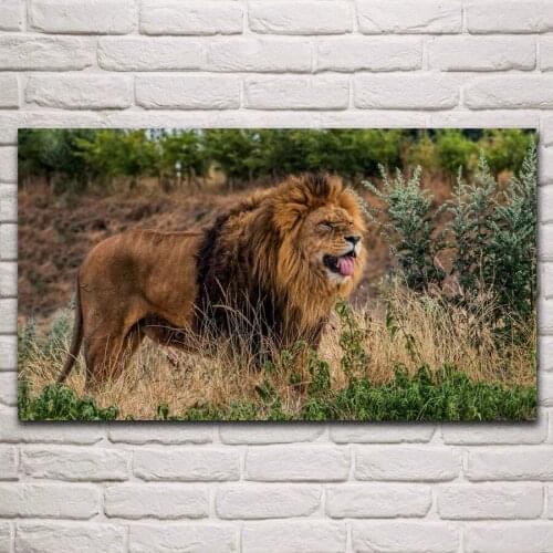 Big Cat Lion Wildlife predator animal living room decor home art decor wood frame fabric poster KG320