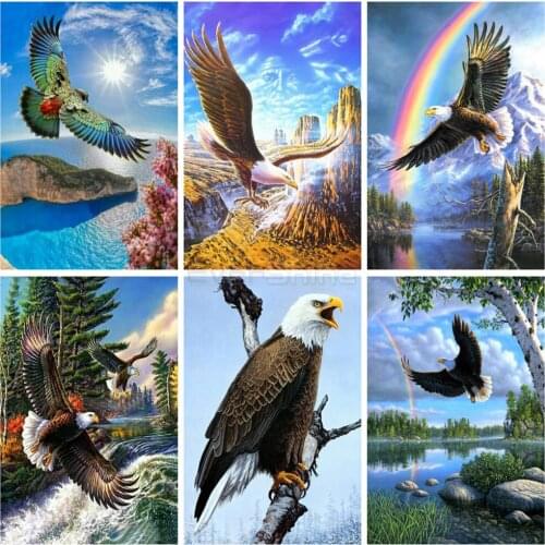 EverShine Full Square Diamond Painting Animals Diamond Embroidery Eagle Cross Stitch Rhinestones Art Home Decor Hobby Gift