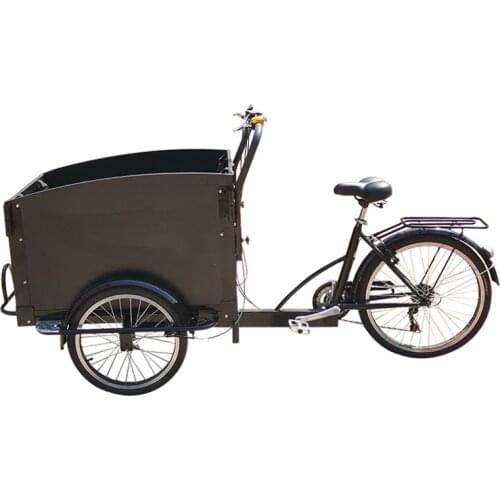Three Wheels Electric Adult Beach Bike Tricycles Green Energy Sightseeing Car Rickshaws for Bicycle Taxi Services