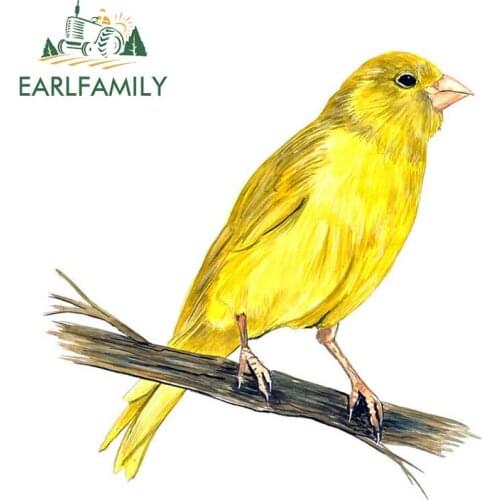 EARLFAMILY 13cm x 12.7cm Yellow Canary Finch Bird Watching Home Office Room Camp Decor Decal Wall Art Car Sticker Graphic