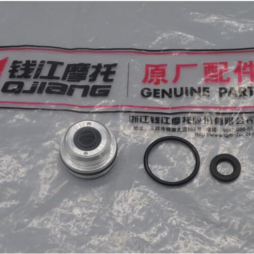 Rear suspension oil seal support for BENELLI BJ300 BN302 BJ600GS BN TNT 300 600 BJ600 300cc motorcycle accessories