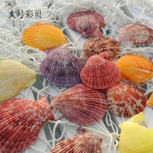 30pcs /lot Natural seashells crafts shells To stick The wedding party colors conch colors conch
