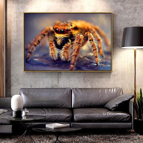 Artcozy Oil Canvas Painting spider_macro For Home Decoration Wall Art