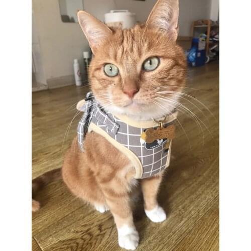 Fashion Plaid Cat Harness Harness for Cats Leash for Walking Supplies for Cats Pet Clothes cats Pet Acessorios