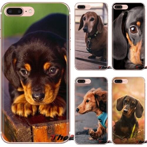 Custom Phone Case For Huawei Honor 6 6A 7 7X 7A 7C 8 8C 8X 9 9X 10 10i 20 Lite Play Pro Dachshund Teckel Dackel Dog
