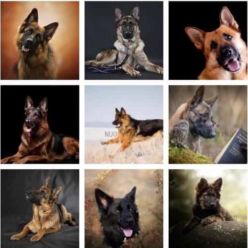 5D DIY Diamant Schilderij Canine Dier Hond Duitse Herder Diamant Digitale Handgemaakte Kunst Borduurwerk Woondecoratie Gift