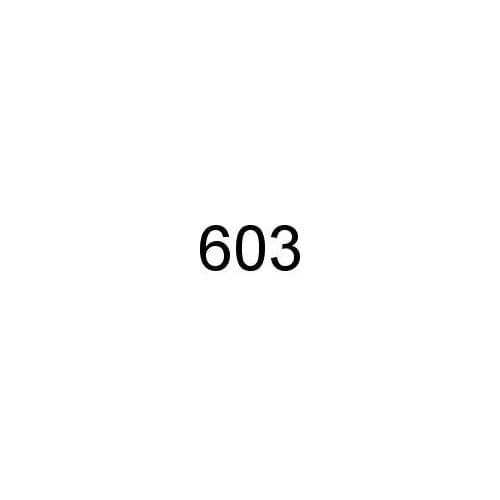 603 CUSTOM PROCUDT