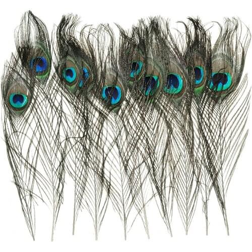 10pcs Beautiful Natural Peacock Feather Tail Feathers Eye 10-12inch DIY Jewelry Craft Decorative Supplies