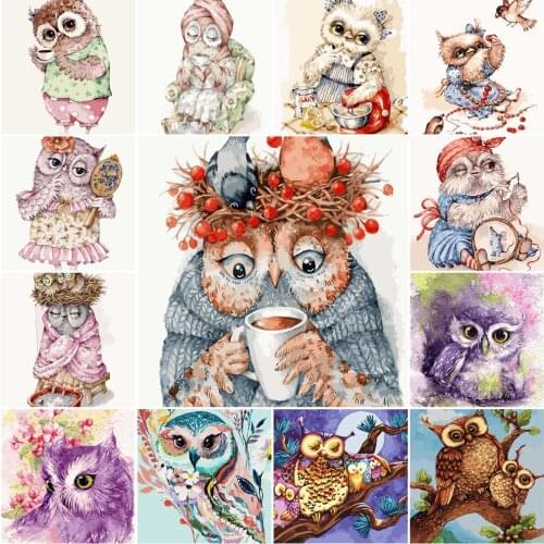 Owl Coloring By Numbers Set No-Frame Canvas Painting 19.7x15.7in 24 Colors Home Unique Gift Diff:3 Stars VA-0174