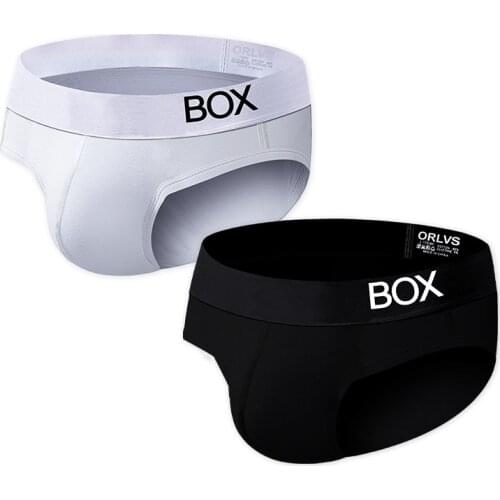 2 PCS/Lot Men Briefs Cotton Men Underwear Comfortable Underpants Breathable Male Panties Cueca Tanga Soft Sexy Gay Bikini