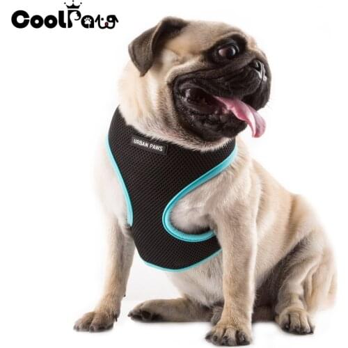 Exclusive Design Pet Product High Visibility Active Mesh Dog Harness Adjustable Nylon Strap Pet Harness Vest