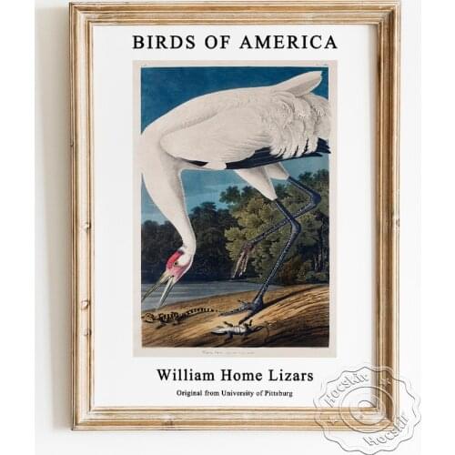 John James Audubon Exhibition Animal Art Museum Poster, Hooping Crane Canvas Painting, America Birds Wall Picture Home Decor