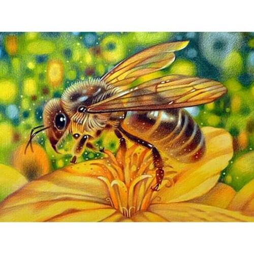 5D Diamond Painting Cartoon Full Square Round Diamond Mosaic Bee Rhinestone Picture Embroidery Animals Home Decor