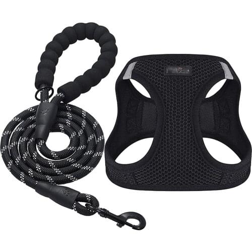Nylon Dogs Leash and Harness Set Adjustable Dog Harness Reflective Dog Leads Rope Set for Small Medium Dog