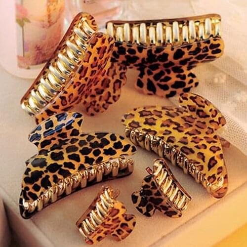 CY le le Fashion Hairpins