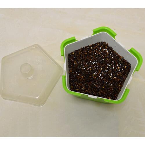 Pentagonal Plastic Sprout Planting Pot Box Bean Pea Sprouter Seedling Tray Wheat Grass Cat Grass Nursery Growing Germination Kit