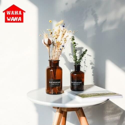 Flower Vase Nordic Ins Dry Home Decoration Water Culture Retro Glass Dried Flower Hydroponic Small Brown Bottle Tabletop Vases