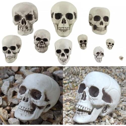 Skull Ornament Creative Delicate Realistic Human Skull Statue Head Bone Model for Party