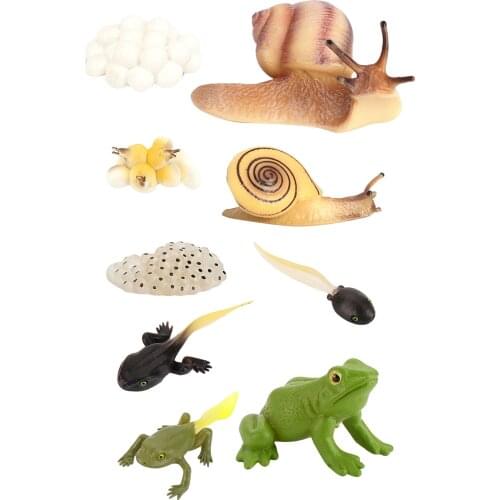 Early Kids Toddlers Simulation Animals Insects Growth Cycle Toy Set Learning