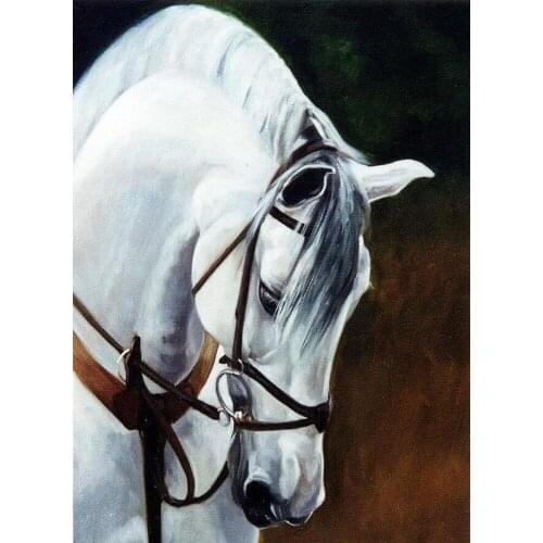5d square /round Diamond Painting "white horse"Full Diamond Embroidery animal Pattern Rhinestones Decor Needlework Mosaic TY467
