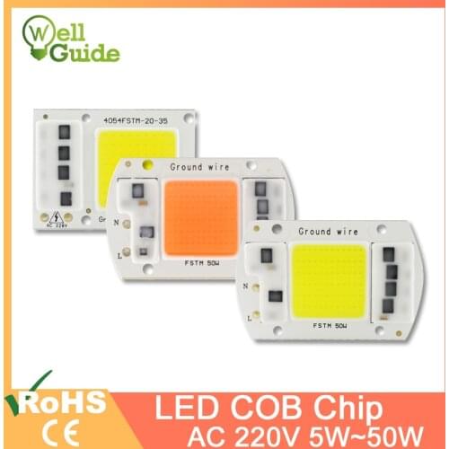 LED Grow Light Chip COB/UV Full Spectrum/Warm/Cold White AC 220V 240V 20W 30W 50W 100W For Flower Plant Growth