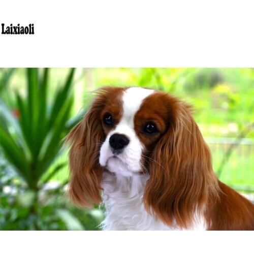 Full,drill,square,Diamond Embroidery,Cavalier King Charles Spaniel,5D,diy,Diamond Painting,,Stitch Cross,Mosaic,Needlework,pet
