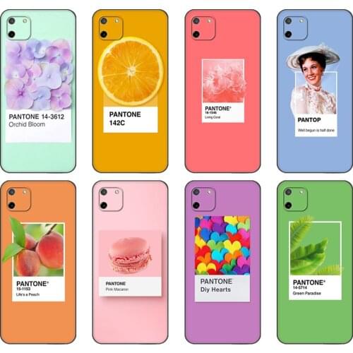 Black tpu Case For OPPO Realme C11 C20 C21 Case Back Cover Bumper Pantone Candy Color Fruit Cookies sunshine sky Novelt Fundas