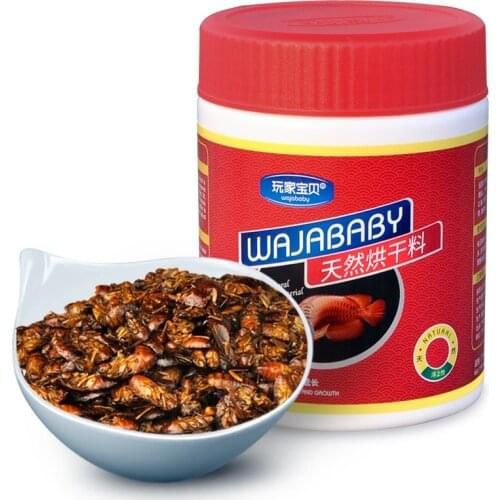 500ML Frozen dried cockroach american cockroach fish feed natural protein Large carnivorous fish feed for ornamental fish