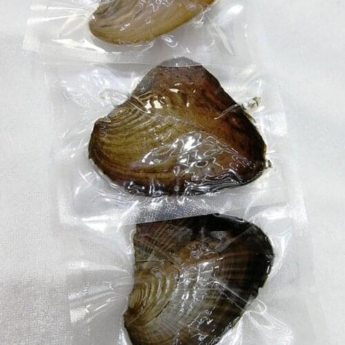 2021 Fashion New Products Pendant Real Pearl Oysters Real Pearl Gift Individually Wrapped Vacuum Package 7-8mm Jewelry Shell