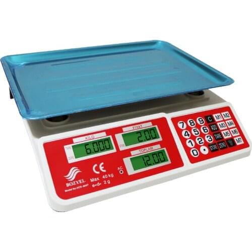 SİNKO/BOZYEL ACS-809T 40 KG ELECTRONIC SCALES (2G SENSITIVITY)