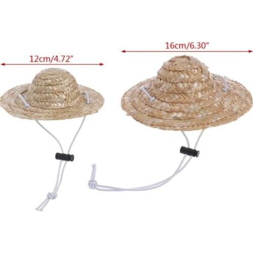 Hawaiian Style Pet Sombrero Hat Dog Cat Hat Small/Large Diameter 14cm 16cm