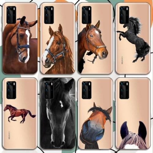 Frederik The Great beauty horse Phone Case Transparent for Huawei mate 20 10 9 8 X S 5G Z Enjoy pro plus